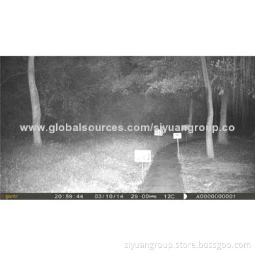 New HD IR Deer Time-lapse Motion Triggered Hunting Camera, OEM/ODM Orders Welcomed